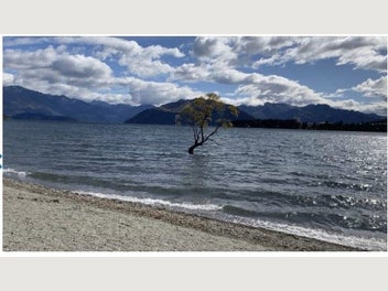Image 1 of 8