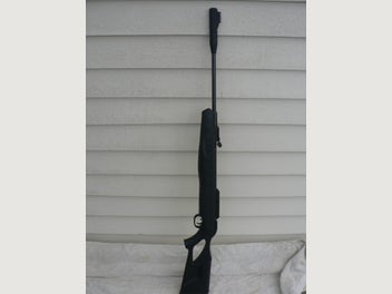 Image 1 of 12