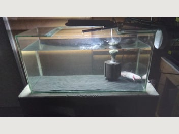 Image 1 of 14