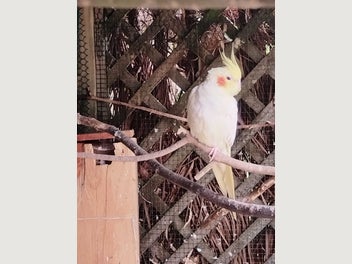 Image 1 of 5