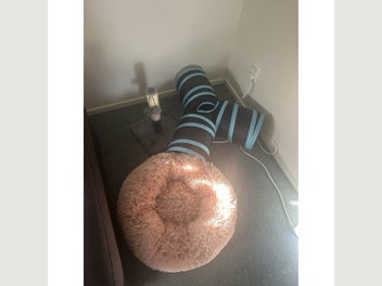 Image 1 of 7