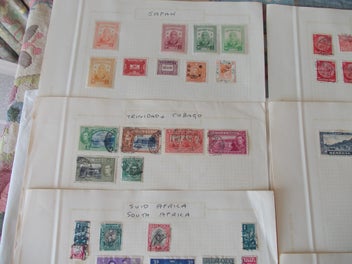 Image 1 of 9
