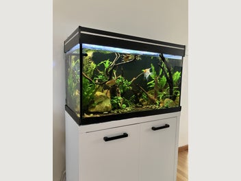Image 1 of 12