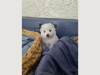 Image 1 of 8