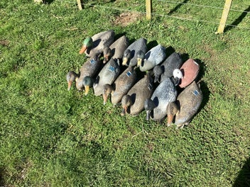 Image 1 of 5