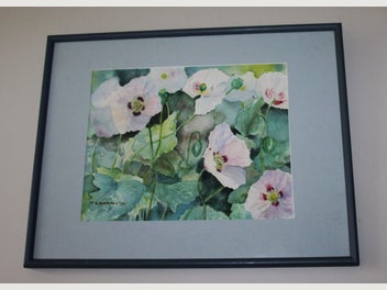 Image 1 of 13