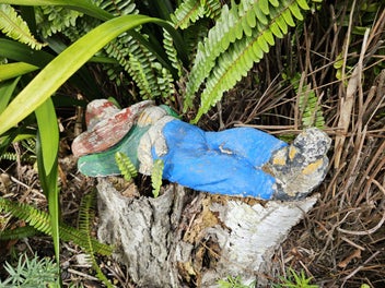 Image 1 of 5