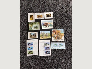 Image 1 of 2