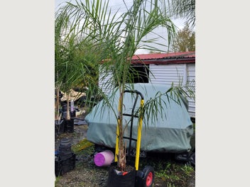 Image 1 of 8