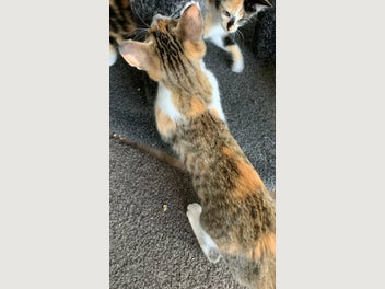 Image 1 of 12