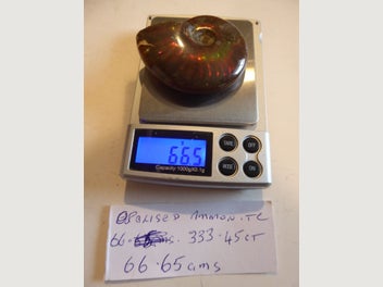 Image 1 of 9