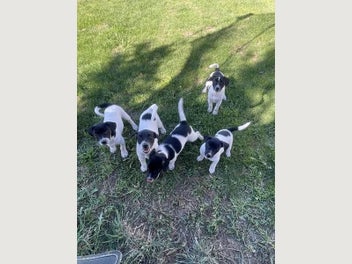 Image 1 of 7