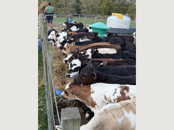 Image 1 of 14