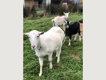 Image 1 of 10