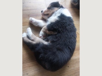 Image 1 of 9