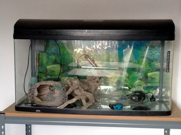 Image 1 of 4