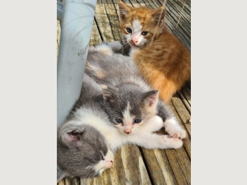 Image 1 of 20