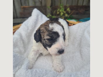 Image 1 of 8
