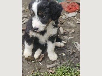 Image 1 of 11