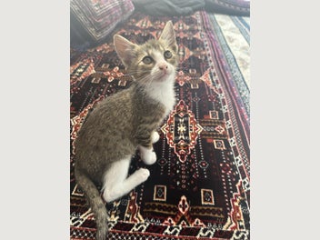 Image 1 of 8