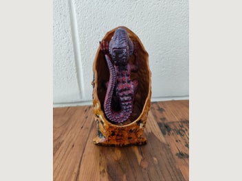 Image 1 of 6