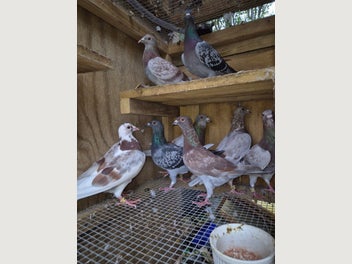 Image 1 of 8