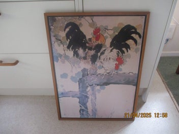 Image 1 of 11
