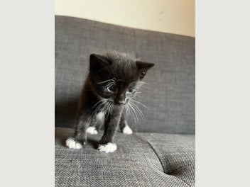 Image 1 of 6