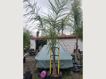 Image 1 of 7
