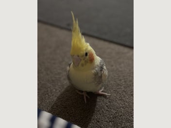 Image 1 of 3