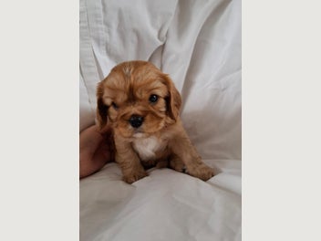 Image 1 of 8