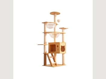 Image 1 of 8