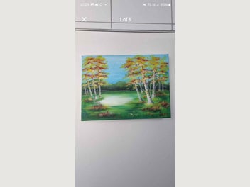 Image 1 of 6