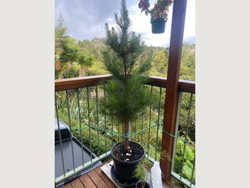 Image 1 of 4
