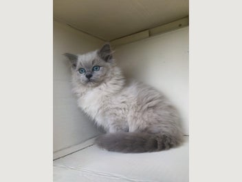 Image 1 of 15