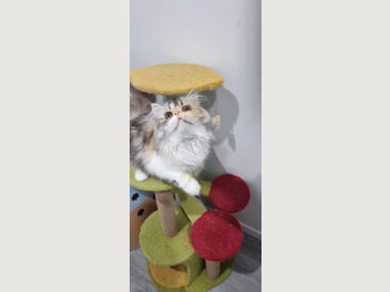 Image 1 of 14