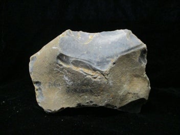 Image 1 of 9
