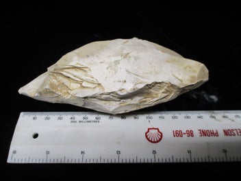 Image 1 of 9