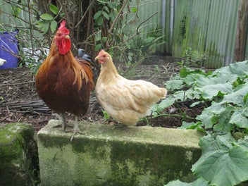 Image 1 of 12