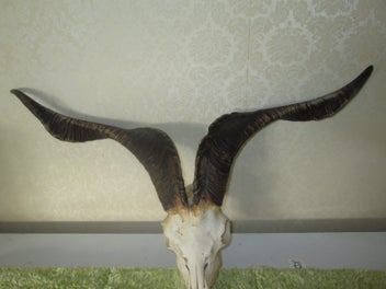 Image 1 of 9