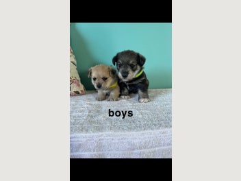 Image 1 of 19