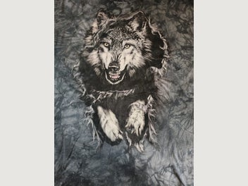 Image 1 of 6