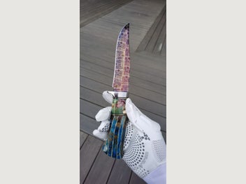 Image 1 of 16