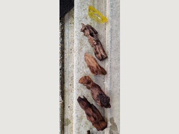 Image 1 of 9