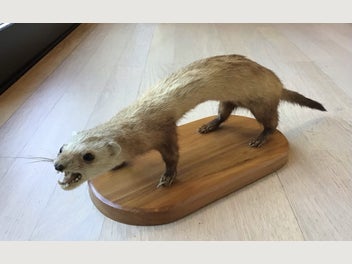 Image 1 of 7