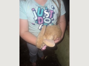 Image 1 of 20