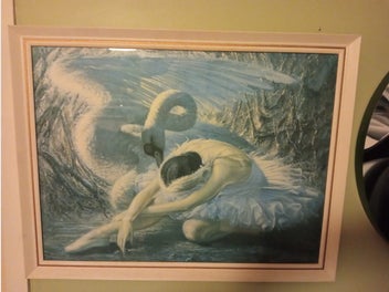 Image 1 of 7