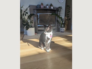 Image 1 of 8