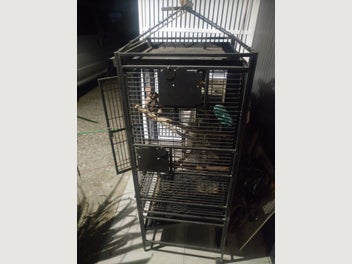Image 1 of 3