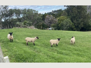 Image 1 of 4